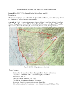 National Wetlands Inventory Mapping Report - R09Y19P01
