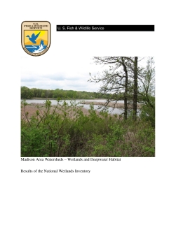 National Wetlands Inventory Mapping Report - R09Y16P01