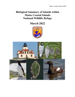 Biological Summary of Islands within Maine Coastal Islands National Wildlife Refuge 2022