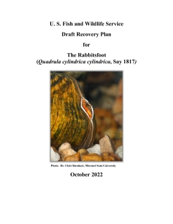 Rabbitsfoot draft Recovery Plan_20221005.pdf