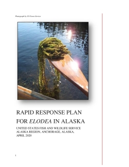 Rapid Response Plan for Elodea in Alaska (PDF)