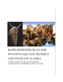 Rapid Response Plan for Invasive Aquatic Mussels and Snails in Alaska (PDF)