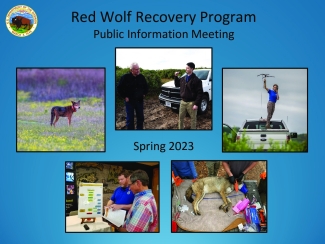 Red Wolf Recovery Program_Spring 2023 Update_508 compliant.pdf