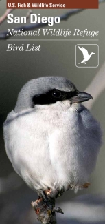 San Diego NWR Bird List