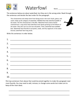 Sacramento National Wildlife Refuge Complex - Waterfowl paragraph worksheet 4 grade