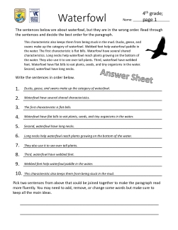 Sacramento National Wildlife Refuge Complex - Waterfowl paragraph worksheet 4 grade answer sheet