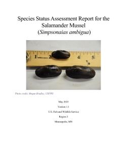 Salamander Mussel SSA Final May 2023