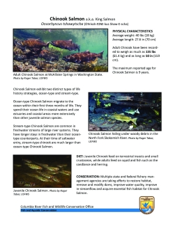 Salmon Factsheet and Activities