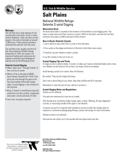 Crystal Digging Brochure 10-06-2023