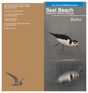 Seal Beach NWR Bird List