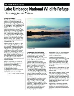 Planning Newsletter 2005.pdf