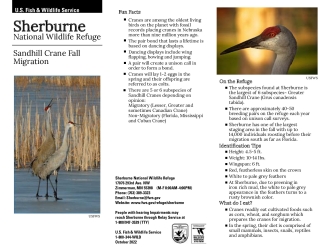 Sherburne Sandhill Crane Fall Migration Brochure