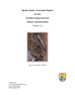 Species Status Assessment Report for the Northern Long-eared Bat