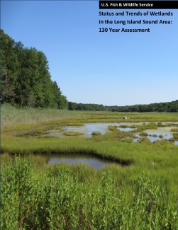 Status and Trends of Wetlands in the Long Island Sound Area: 130 Year Assessment