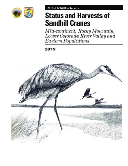 Status and Harvests of Sandhill Cranes, 2019