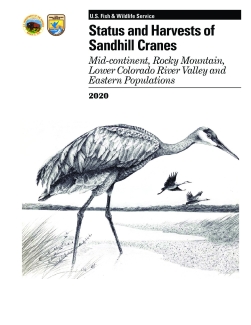Status and Harvests of Sandhill Cranes, 2020