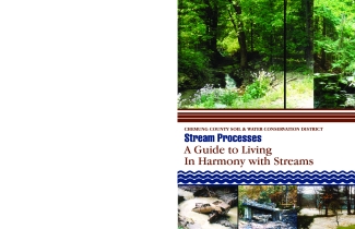 Stream Processes: A Guide to Living in Harmony with Streams