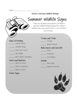 DeSoto Summer Wildlife Signs Worksheet 508.pdf