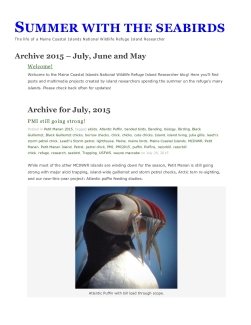 Summer with the Seabirds 2015
