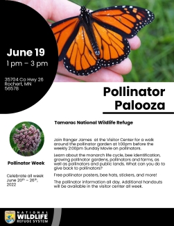 Tamarac National Wildlife Refuge Pollinator Palooza Event Flyer
