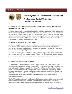 FAQ: Recovery Plan for Tidal Marsh Ecosystems of Northern and Central California 