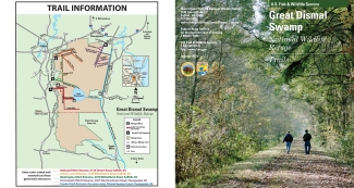 Trail Guide - Great Dismal Swamp- 2019 USFWS.pdf