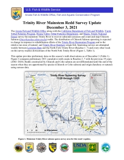 Trinity River Spawning Survey Update 12/03/2021