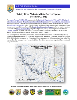 Trinity River Redd Survey Update - December 2, 2022