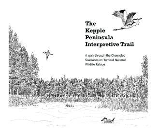 Turnbull NWR Kepple Peninsula Interpretive Trail Brochure