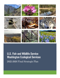 Washington Ecological Services 2022-2026 Strategic Plan