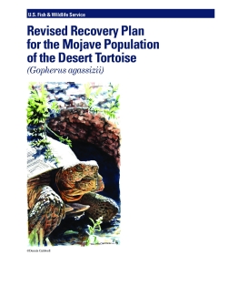 2011 Revised Recovery Plan for the Mojave Desert Tortoise