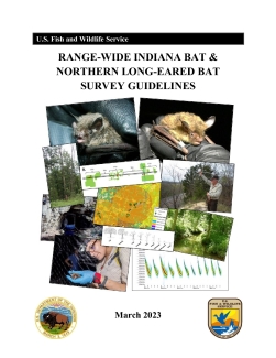 Range-wide Indiana Bat and Northern Long-eared Bat Survey Guidelines