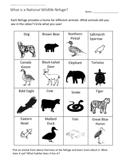 What Is A Refuge Wildlife Worksheet Grade 2