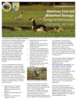 Fact Sheet: Waterfowl Damage