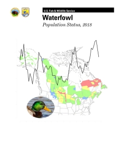 Waterfowl Population Status, 2018