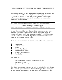 Wet trunk info(1).pdf