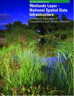 Wetlands Layer - National Spatial Data Infrastructure: A Phased Approach to Completion and Modernization