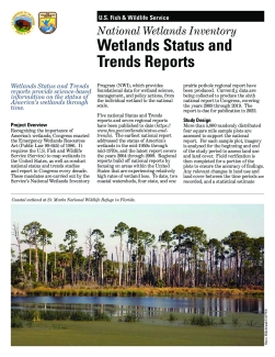 Wetlands Status and Trends Reports Fact Sheet