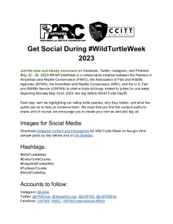 Wild Turtle Week 2023 Social Media Toolkit