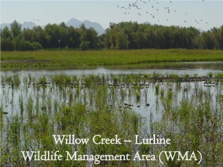 Willow Creek-Lurline virtual tour at Sacramento National Wildlife Refuge Complex
