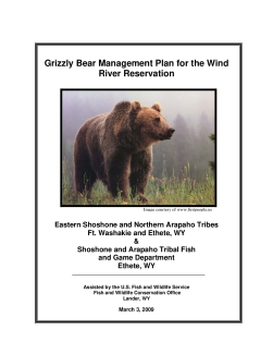 Wind River Reservation Grizzly Bear Plan