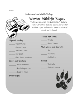 Winter Wildlife Signs Worksheet 508.pdf