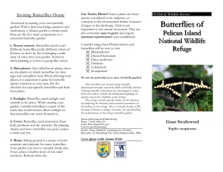 Pelican Island Butterfly Leaflet