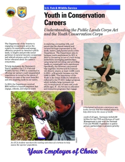 Youth in Conservation Careers 