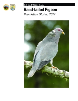 Band-tailed Pigeon Population Status, 2022