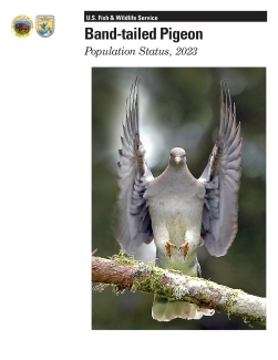 Band-tailed Pigeon Population Status, 2023