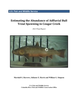 Estimating the Abundance of Adfluvial Bull Trout Spawning in Cougar Creek