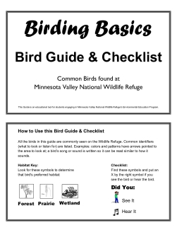 Birding Basics Field Guide