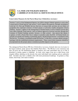 Conservation Measures for the Puerto Rican boa
