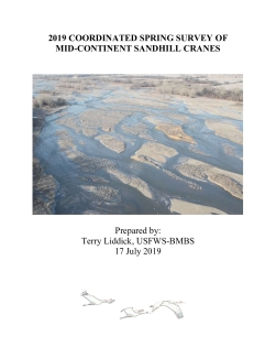 Coordinated Spring Survey Of Mid-Continent Sandhill Cranes 2019